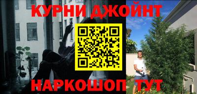 стаф Моздок