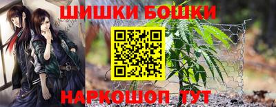 стаф Моздок