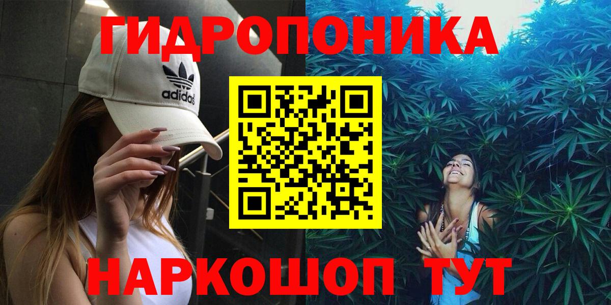 Каннабис White Widow  Вход с VPN  Волгоград  МАРИХУАНА марихуана  МАРИХУАНА ГИДРОПОН 